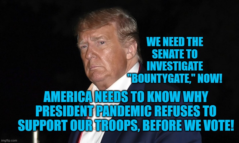 Investigate Bountygate,  Now! | WE NEED THE SENATE TO INVESTIGATE "BOUNTYGATE," NOW! AMERICA NEEDS TO KNOW WHY PRESIDENT PANDEMIC REFUSES TO SUPPORT OUR TROOPS, BEFORE WE VOTE! | image tagged in politics | made w/ Imgflip meme maker