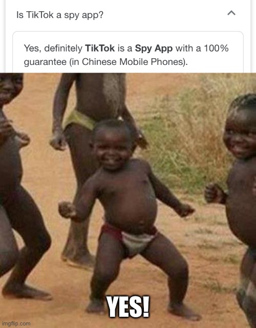 Tiktok sucks | YES! | image tagged in memes,third world success kid,tiktok,tiktok sucks,stop reading the tags | made w/ Imgflip meme maker