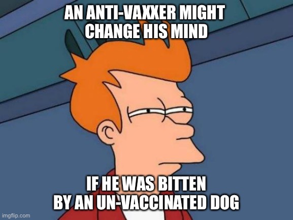 Yes, he might | AN ANTI-VAXXER MIGHT 
CHANGE HIS MIND; IF HE WAS BITTEN BY AN UN-VACCINATED DOG | image tagged in memes,futurama fry | made w/ Imgflip meme maker