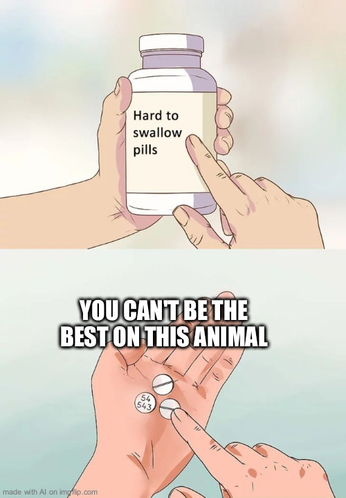 technically my wife is an animal so this must be true | YOU CAN'T BE THE BEST ON THIS ANIMAL | image tagged in memes,hard to swallow pills | made w/ Imgflip meme maker