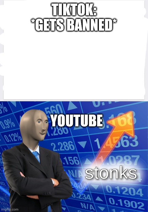 Srsly tho | TIKTOK: *GETS BANNED*; YOUTUBE | image tagged in stonks | made w/ Imgflip meme maker