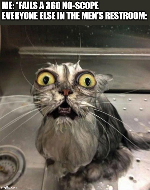 Astonished Wet Cat | ME: *FAILS A 360 NO-SCOPE
EVERYONE ELSE IN THE MEN'S RESTROOM: | image tagged in astonished wet cat | made w/ Imgflip meme maker
