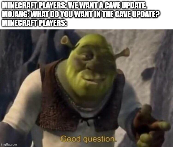 Shrek good question | MINECRAFT PLAYERS: WE WANT A CAVE UPDATE.
MOJANG: WHAT DO YOU WANT IN THE CAVE UPDATE?
MINECRAFT PLAYERS: | image tagged in shrek good question | made w/ Imgflip meme maker