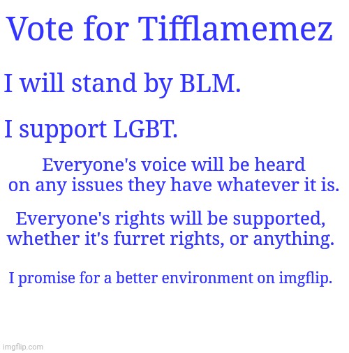 Vote for Tifflamemez | Vote for Tifflamemez; I will stand by BLM. I support LGBT. Everyone's voice will be heard on any issues they have whatever it is. Everyone's rights will be supported, whether it's furret rights, or anything. I promise for a better environment on imgflip. | image tagged in blank,memes,meme,candidate,imgflip,imgflip users | made w/ Imgflip meme maker