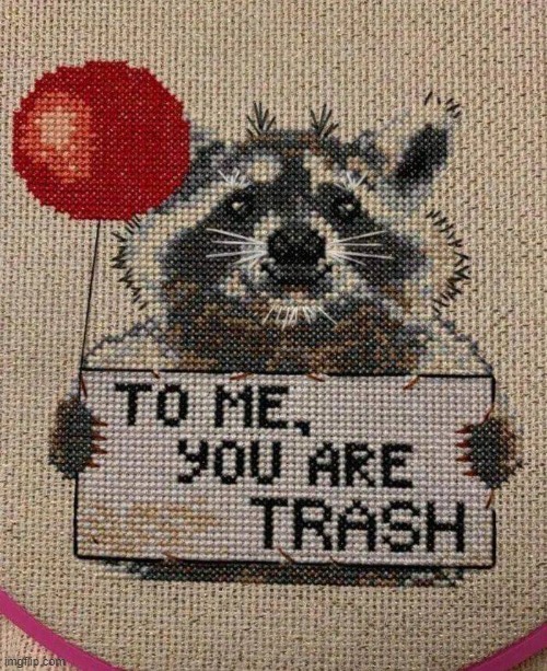 raccoon | image tagged in you are trash | made w/ Imgflip meme maker