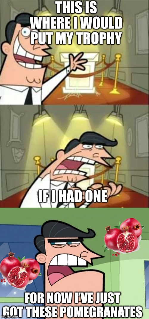 True Story About A User Named OrangePeel | THIS IS WHERE I WOULD PUT MY TROPHY; IF I HAD ONE; FOR NOW I’VE JUST GOT THESE POMEGRANATES | image tagged in memes,this is where i'd put my trophy if i had one,timmy turner's dad | made w/ Imgflip meme maker