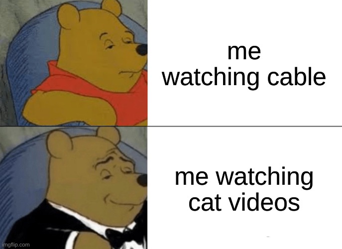 Tuxedo Winnie The Pooh | me watching cable; me watching cat videos | image tagged in memes,tuxedo winnie the pooh | made w/ Imgflip meme maker