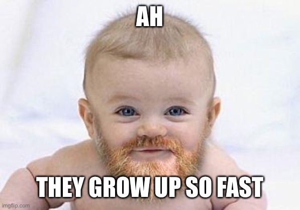 Baby beard | AH; THEY GROW UP SO FAST | image tagged in beards | made w/ Imgflip meme maker