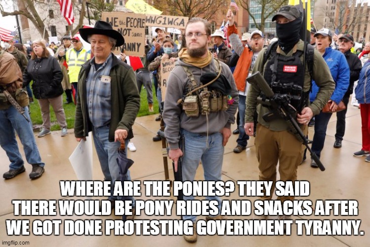 Bubbles the Patriot | WHERE ARE THE PONIES? THEY SAID THERE WOULD BE PONY RIDES AND SNACKS AFTER WE GOT DONE PROTESTING GOVERNMENT TYRANNY. | image tagged in bubbles the patriot | made w/ Imgflip meme maker