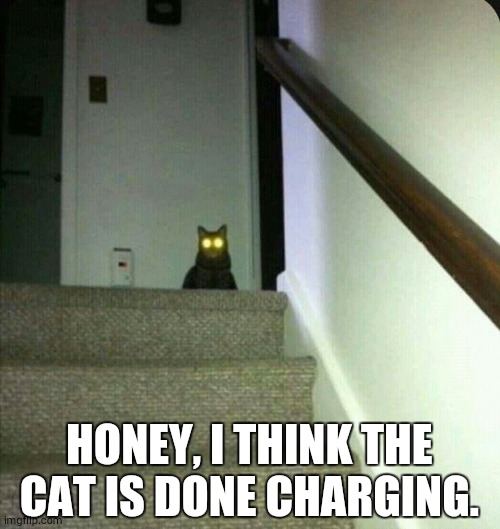 HONEY, I THINK THE CAT IS DONE CHARGING. | image tagged in cats | made w/ Imgflip meme maker
