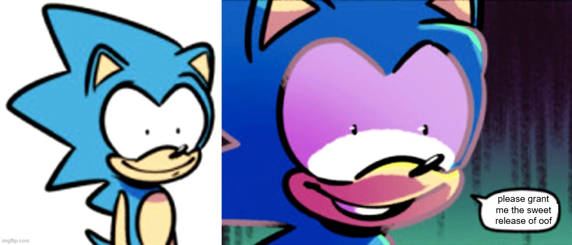 Sonic what/no | please grant me the sweet release of oof | image tagged in sonic what/no | made w/ Imgflip meme maker