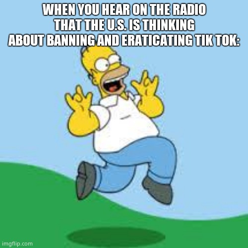 Legit heard people on the radio talking about it earlier | WHEN YOU HEAR ON THE RADIO THAT THE U.S. IS THINKING ABOUT BANNING AND ERATICATING TIK TOK: | image tagged in hooray homer,cool | made w/ Imgflip meme maker