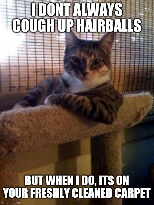 Cough up hairballs | I DONT ALWAYS COUGH UP HAIRBALLS; BUT WHEN I DO, ITS ON YOUR FRESHLY CLEANED CARPET | image tagged in memes,the most interesting cat in the world | made w/ Imgflip meme maker