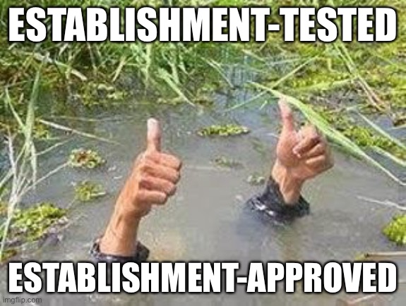 FLOODING THUMBS UP | ESTABLISHMENT-TESTED ESTABLISHMENT-APPROVED | image tagged in flooding thumbs up | made w/ Imgflip meme maker