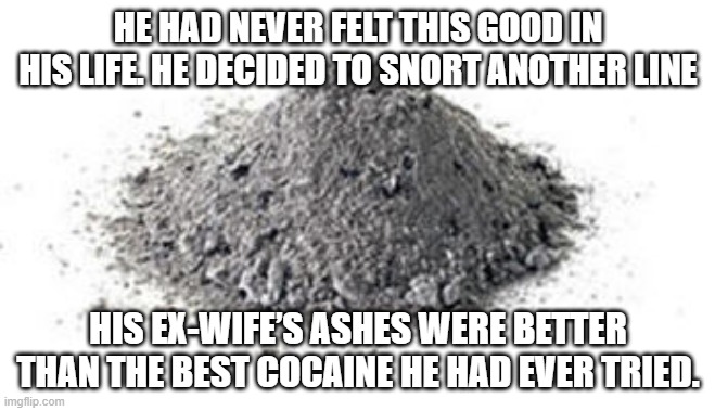 A Good High | HE HAD NEVER FELT THIS GOOD IN HIS LIFE. HE DECIDED TO SNORT ANOTHER LINE; HIS EX-WIFE’S ASHES WERE BETTER THAN THE BEST COCAINE HE HAD EVER TRIED. | image tagged in ashes | made w/ Imgflip meme maker