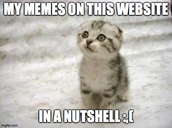Sad Cat Meme | MY MEMES ON THIS WEBSITE IN A NUTSHELL :,( | image tagged in memes,sad cat | made w/ Imgflip meme maker