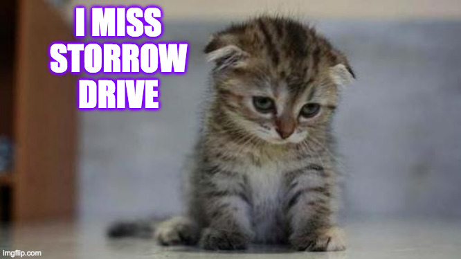 Sad kitten | I MISS STORROW DRIVE | image tagged in sad kitten | made w/ Imgflip meme maker