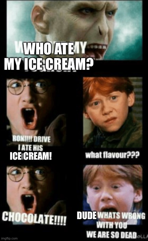 Don’t take Voldys Chocy Ice Cream | WHO ATE MY ICE CREAM? ICE CREAM! DUDE | image tagged in harry potter | made w/ Imgflip meme maker