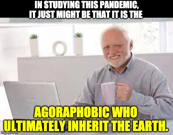 Harold | IN STUDYING THIS PANDEMIC, IT JUST MIGHT BE THAT IT IS THE; AGORAPHOBIC WHO ULTIMATELY INHERIT THE EARTH. | image tagged in harold | made w/ Imgflip meme maker