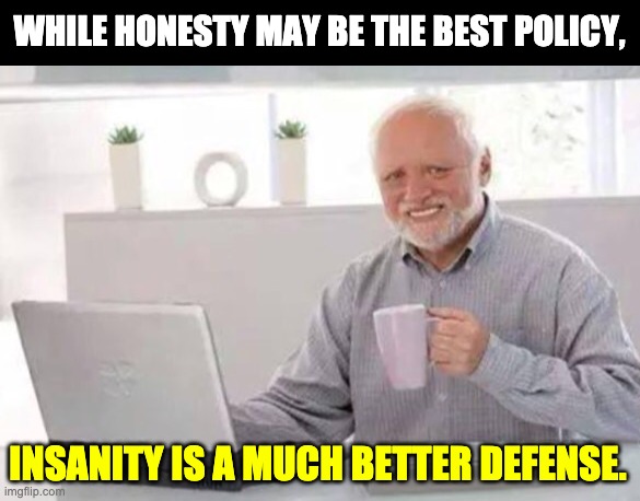 Harold | WHILE HONESTY MAY BE THE BEST POLICY, INSANITY IS A MUCH BETTER DEFENSE. | image tagged in harold | made w/ Imgflip meme maker