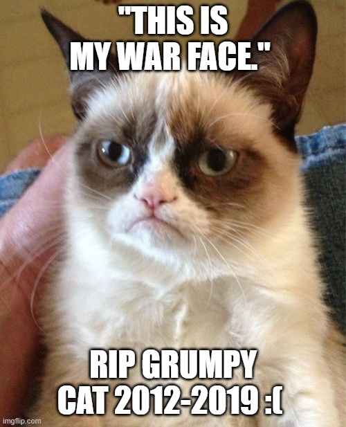 Grumpy Cat | "THIS IS MY WAR FACE."; RIP GRUMPY CAT 2012-2019 :( | image tagged in memes,grumpy cat | made w/ Imgflip meme maker