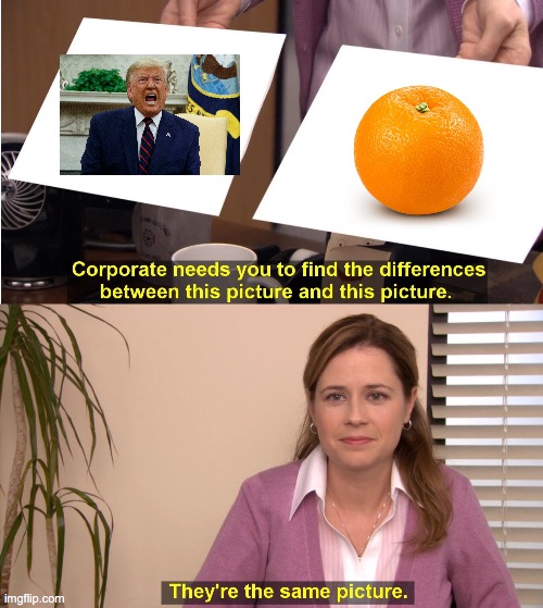 They're The Same Picture | image tagged in memes,they're the same picture,trump,orange | made w/ Imgflip meme maker