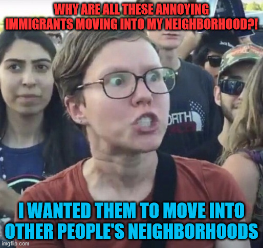 Triggered feminist | WHY ARE ALL THESE ANNOYING IMMIGRANTS MOVING INTO MY NEIGHBORHOOD?! I WANTED THEM TO MOVE INTO OTHER PEOPLE'S NEIGHBORHOODS | image tagged in triggered feminist,immigrants,neighborhood,leftist,open borders,liberal | made w/ Imgflip meme maker