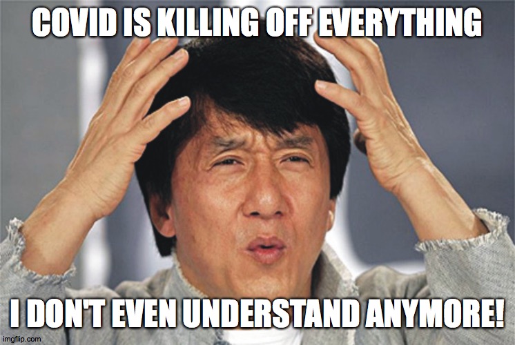 Jackie Chan Confused | COVID IS KILLING OFF EVERYTHING I DON'T EVEN UNDERSTAND ANYMORE! | image tagged in jackie chan confused | made w/ Imgflip meme maker