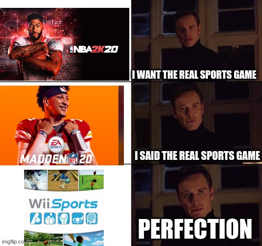 The Real Sports Video Game | image tagged in video games,sports,wii | made w/ Imgflip meme maker