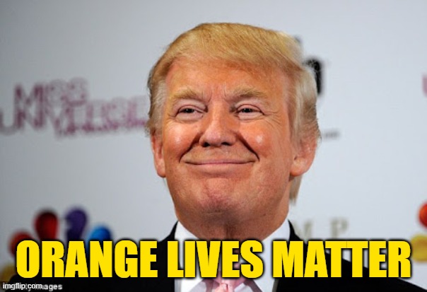 MAGA 2020 means Trump landslide | ORANGE LIVES MATTER | image tagged in donald trump approves | made w/ Imgflip meme maker