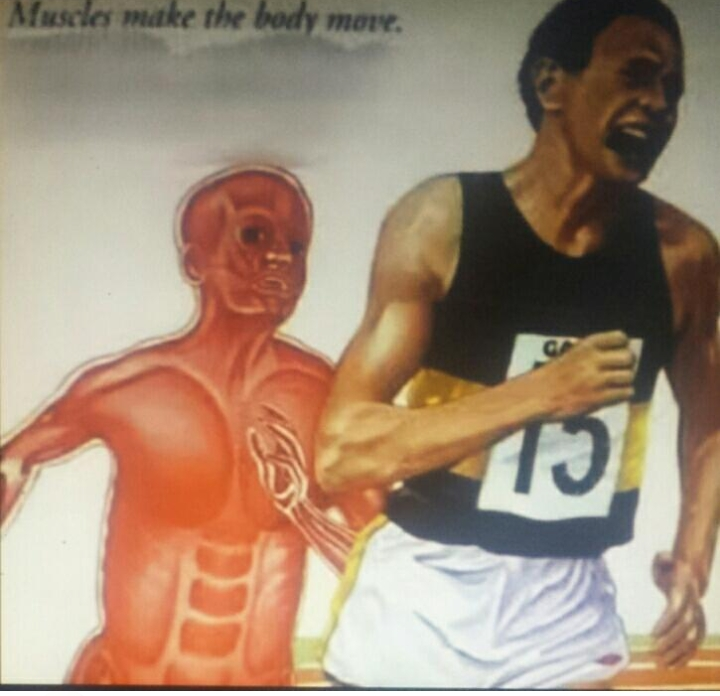 High Quality Muscle runner Blank Meme Template