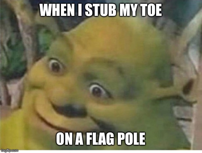 Shrek | WHEN I STUB MY TOE; ON A FLAG POLE | image tagged in sherk face | made w/ Imgflip meme maker