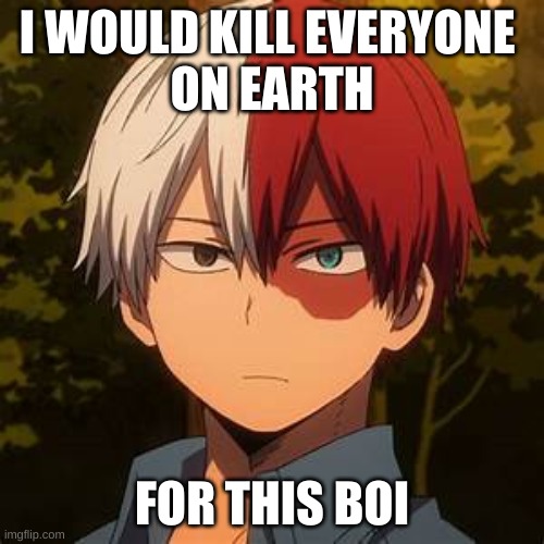TODOROKI | I WOULD KILL EVERYONE 
ON EARTH; FOR THIS BOI | image tagged in todoroki | made w/ Imgflip meme maker