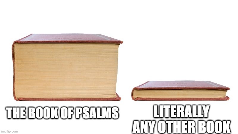 thick book thin book | LITERALLY ANY OTHER BOOK; THE BOOK OF PSALMS | image tagged in thick book thin book | made w/ Imgflip meme maker