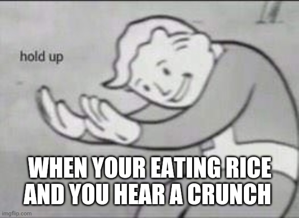 Fallout Hold Up | WHEN YOUR EATING RICE AND YOU HEAR A CRUNCH | image tagged in fallout hold up | made w/ Imgflip meme maker