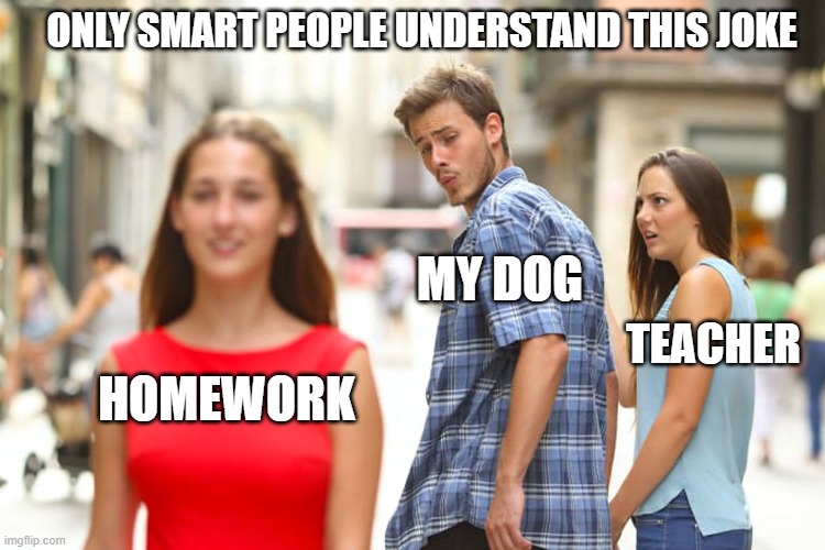 Distracted Boyfriend Meme | ONLY SMART PEOPLE UNDERSTAND THIS JOKE; MY DOG; TEACHER; HOMEWORK | image tagged in memes,distracted boyfriend | made w/ Imgflip meme maker