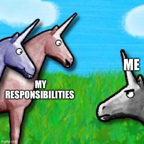charlie the unicorn | ME; MY RESPONSIBILITIES | image tagged in charlie the unicorn | made w/ Imgflip meme maker
