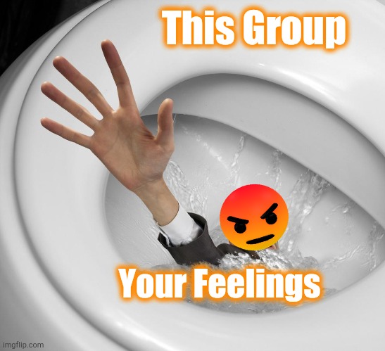 This Group; Your Feelings | image tagged in feelings,group,facebook | made w/ Imgflip meme maker