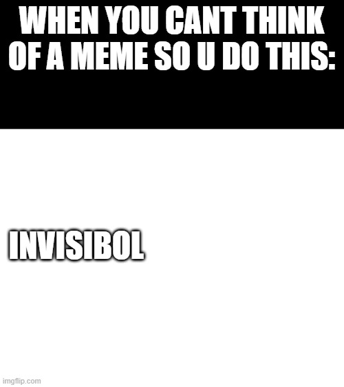 It's not my best meme... | WHEN YOU CANT THINK OF A MEME SO U DO THIS:; INVISIBOL | image tagged in blank white template | made w/ Imgflip meme maker