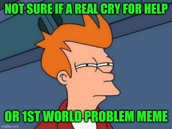 Futurama Fry Meme | NOT SURE IF A REAL CRY FOR HELP OR 1ST WORLD PROBLEM MEME | image tagged in memes,futurama fry | made w/ Imgflip meme maker