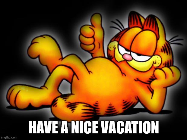 garfield thumbs up | HAVE A NICE VACATION | image tagged in garfield thumbs up | made w/ Imgflip meme maker