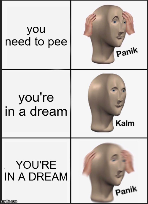 dreams are funny | you need to pee; you're in a dream; YOU'RE IN A DREAM | image tagged in memes,panik kalm panik | made w/ Imgflip meme maker