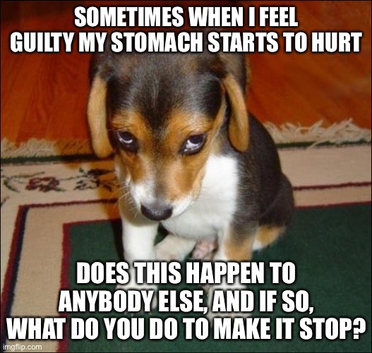 guilty puppy | SOMETIMES WHEN I FEEL GUILTY MY STOMACH STARTS TO HURT; DOES THIS HAPPEN TO ANYBODY ELSE, AND IF SO, WHAT DO YOU DO TO MAKE IT STOP? | image tagged in guilty puppy | made w/ Imgflip meme maker