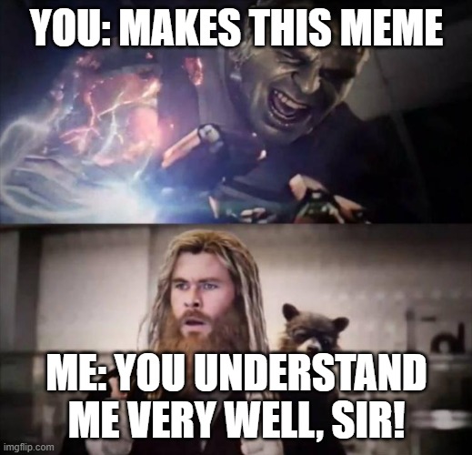 Impressed Thor | YOU: MAKES THIS MEME ME: YOU UNDERSTAND ME VERY WELL, SIR! | image tagged in impressed thor | made w/ Imgflip meme maker