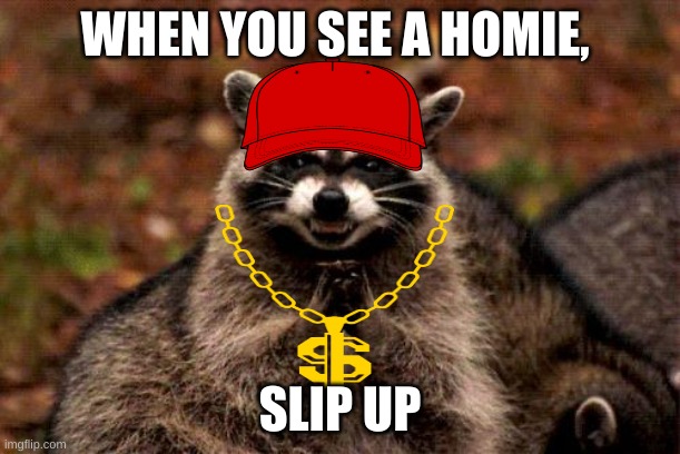 Evil Plotting Raccoon Meme | WHEN YOU SEE A HOMIE, SLIP UP | image tagged in memes,evil plotting raccoon | made w/ Imgflip meme maker