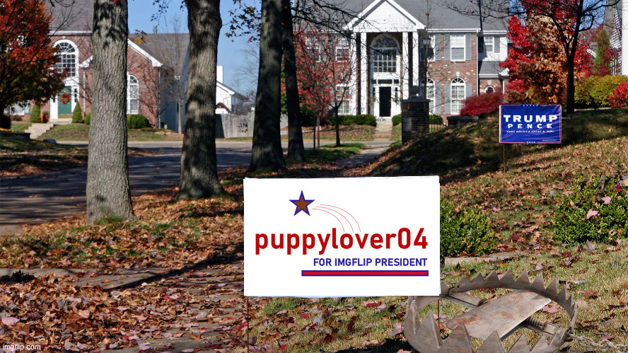 Vote puppylover04 for imgflip president! | made w/ Imgflip meme maker