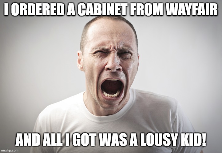 Angry Man | I ORDERED A CABINET FROM WAYFAIR; AND ALL I GOT WAS A LOUSY KID! | image tagged in angry man | made w/ Imgflip meme maker