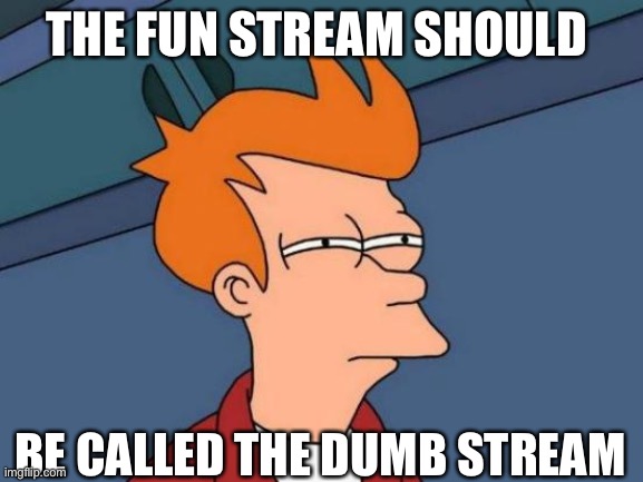 Futurama Fry Meme | THE FUN STREAM SHOULD; BE CALLED THE DUMB STREAM | image tagged in memes,futurama fry | made w/ Imgflip meme maker