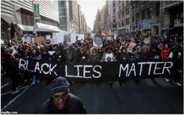 Black Lies Matter sponsored by the Democrat party | image tagged in democratic party | made w/ Imgflip meme maker