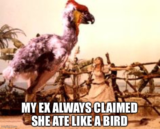 Mysterious Diet | MY EX ALWAYS CLAIMED SHE ATE LIKE A BIRD | image tagged in unsolved mysteries,revenge chicken,sci-fi,giant monster | made w/ Imgflip meme maker